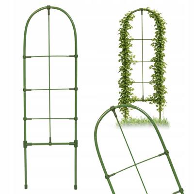 Pergola Ogrodowa Podpora Drabinkowa do Roślin Pnących 60cm x 17cm