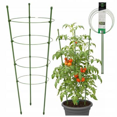Podpora roślin kwiatów Ogrodowa Pergola Pierścieniowa 120cm Rośliny pnące