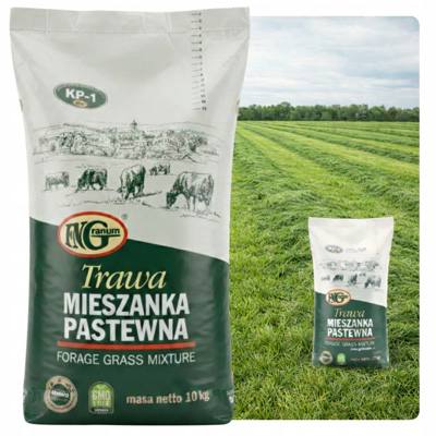 TRAWA KOŚNO-KISZONKOWA Kośna KISZONKI SIANOKISZONKI /KP-1/ 10 KG
