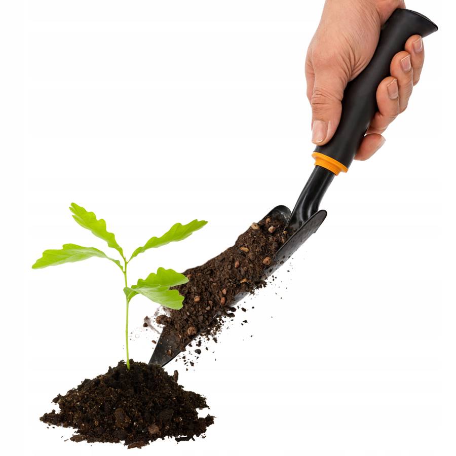 6e86213077737f33461547ab393c6bd9.jpg