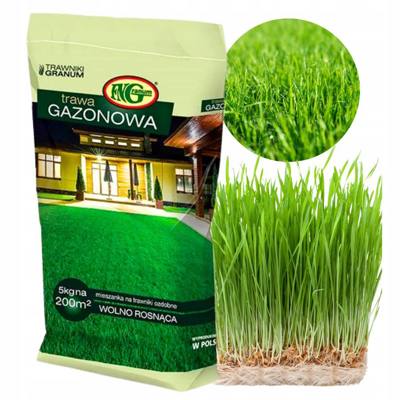 TRAWA Gazonowa 5kg Nr partii PL610/03/56/M234