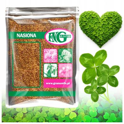 Mikrokoniczyna koniczyna drobnolistna biała NASIONA 500 g Nr partii: DK26HF0050