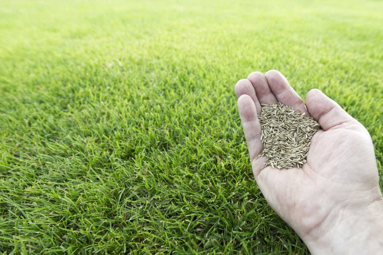 20912fef26ffb1efe715cbc2e2b0b240.jpg