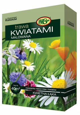 TRAWA Kwiatami Malowana 1kg Nr partii: PL510/03/56/M58/A