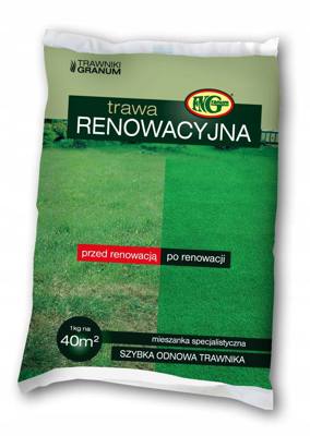 TRAWA NASIONA Renowacyjna Regeneracyjna 1kg